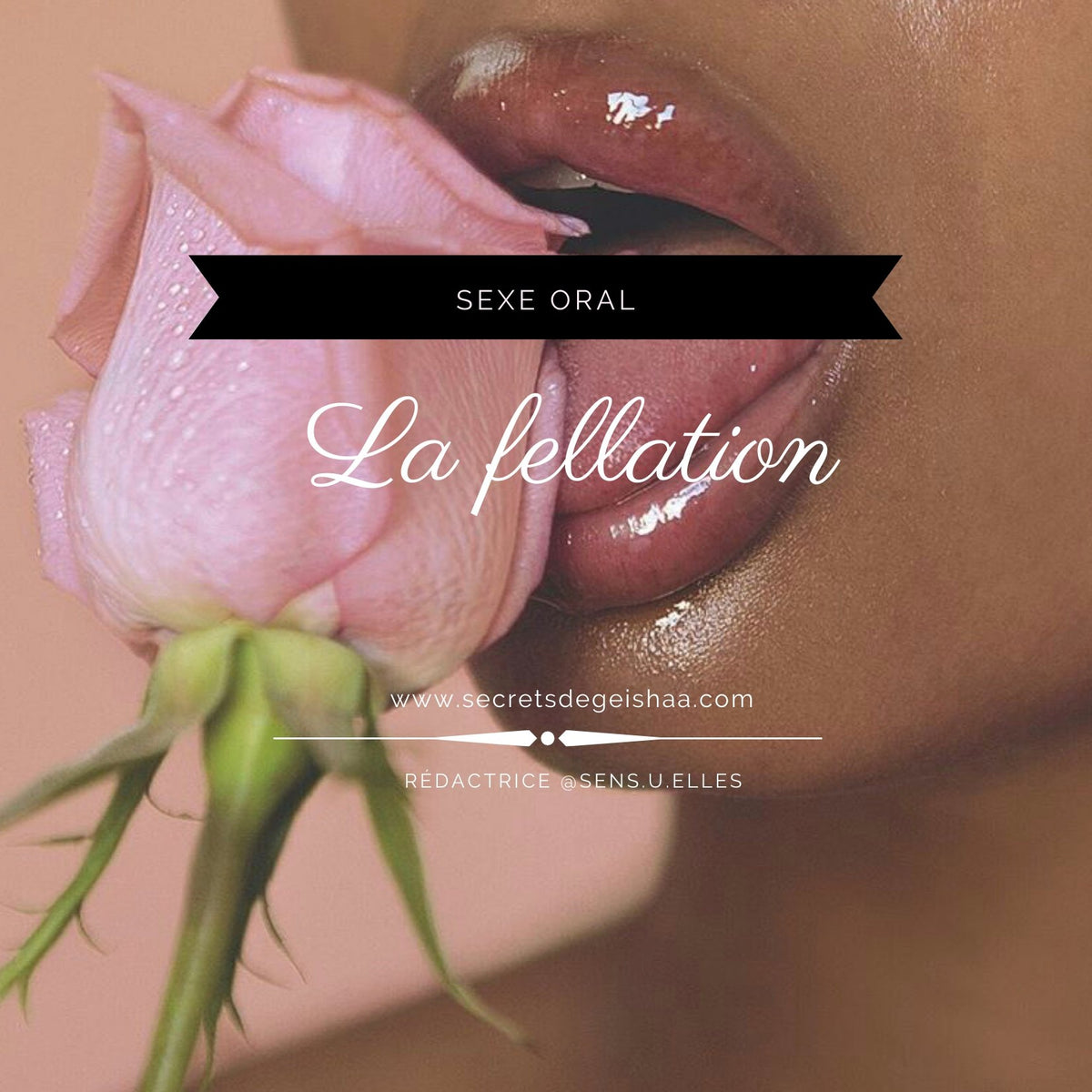 Le Sexe Oral : Fellation – Secrets De Geishaa