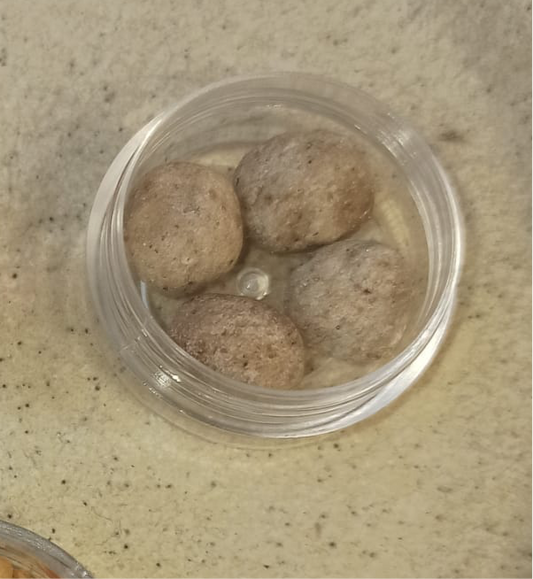 Poudre du plaisir ( nouveau format boule 10pcs )